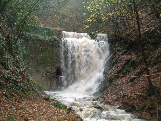  Image name: DSCF2010.JPG 
 width: 640 pixel 
 height: 480 pixel 
 Size: 121087 bytes 
 Click to enlarge 